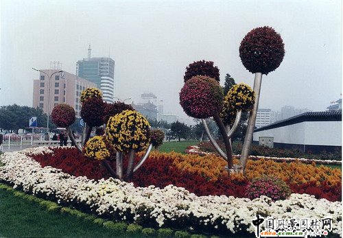 花壇(組圖)