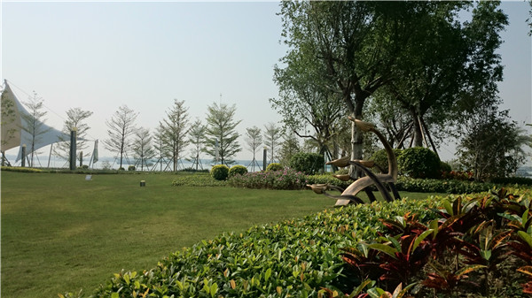 2015精品園林獎設(shè)計(jì)類大獎：富力·天海灣