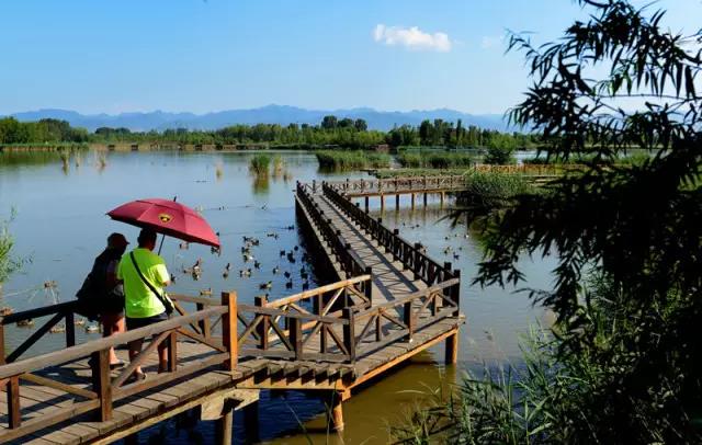 中國十佳生態(tài)景觀案例
