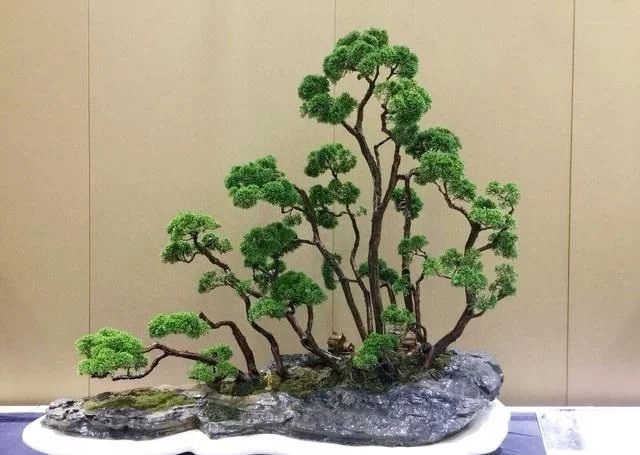 這些怪樁做成的盆景，隨便一盆都能換套房