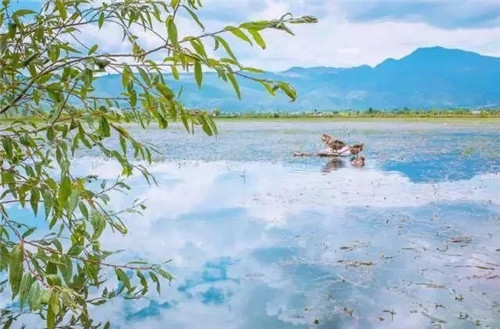 云南省第一個以濕地命名的保護(hù)區(qū)