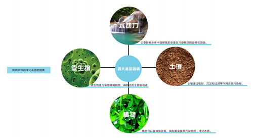 園冶杯專業(yè)獎：楊柳灣濱河公園景觀設計