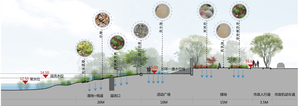 園冶杯專業(yè)獎|池州護城河遺址公園景觀與海綿設(shè)計