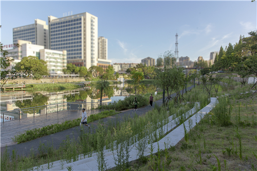 園冶杯專業(yè)獎|池州護城河遺址公園景觀與海綿設(shè)計