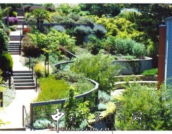 杰弗里·米勒：“順勢而建”的住區(qū)花園