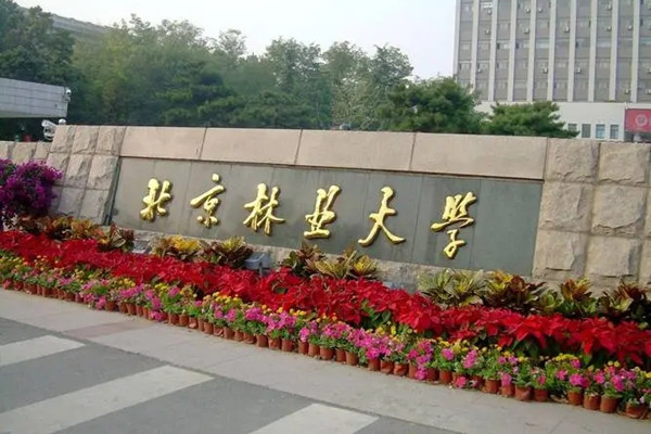 北林大三門(mén)園林課躋身國(guó)家級(jí)一流行列